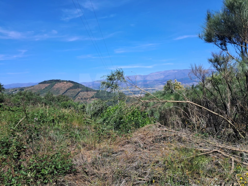 Terreno para Venda em Alcongosta Foto 11