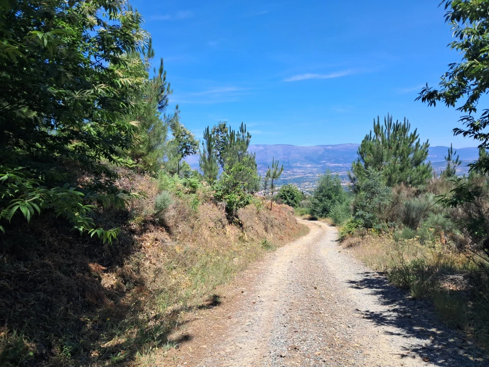Terreno para Venda em Alcongosta Foto 5