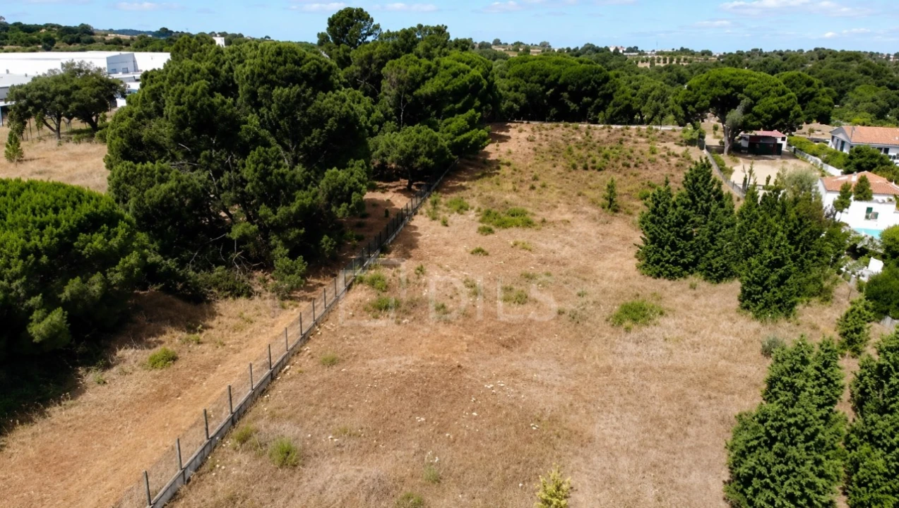 Terreno Comércio / Armazém para Venda em Palmela Foto 4