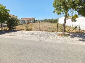 Terreno para Venda em Manique do Intendente, Vila Nova de São Pedro e Maçussa