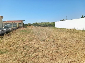 Terreno para Venda em Manique do Intendente, Vila Nova de São Pedro e Maçussa