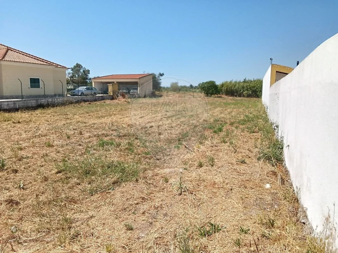 Terreno para Venda em Manique do Intendente, Vila Nova de São Pedro e Maçussa Foto 2
