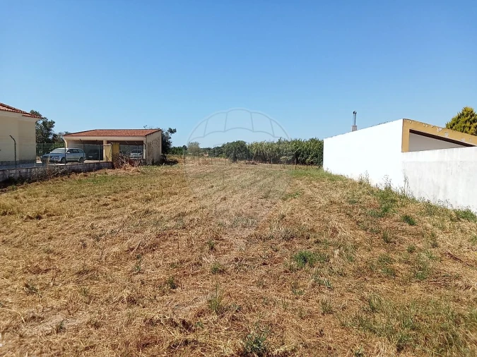 Terreno para Venda em Manique do Intendente, Vila Nova de São Pedro e Maçussa Foto 3