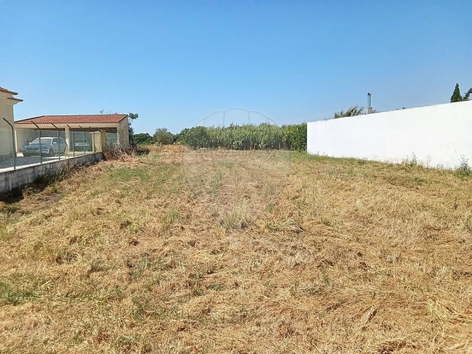 Terreno para Venda em Manique do Intendente, Vila Nova de São Pedro e Maçussa Foto 5