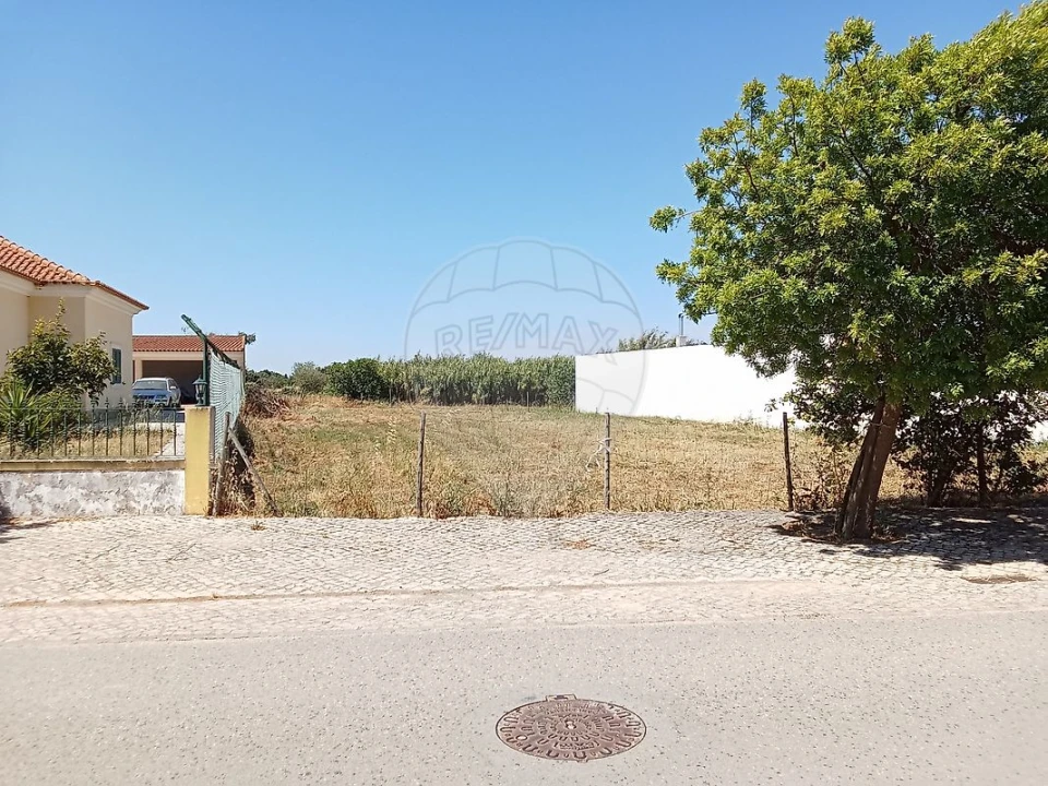 Terreno para Venda em Manique do Intendente, Vila Nova de São Pedro e Maçussa Foto 9