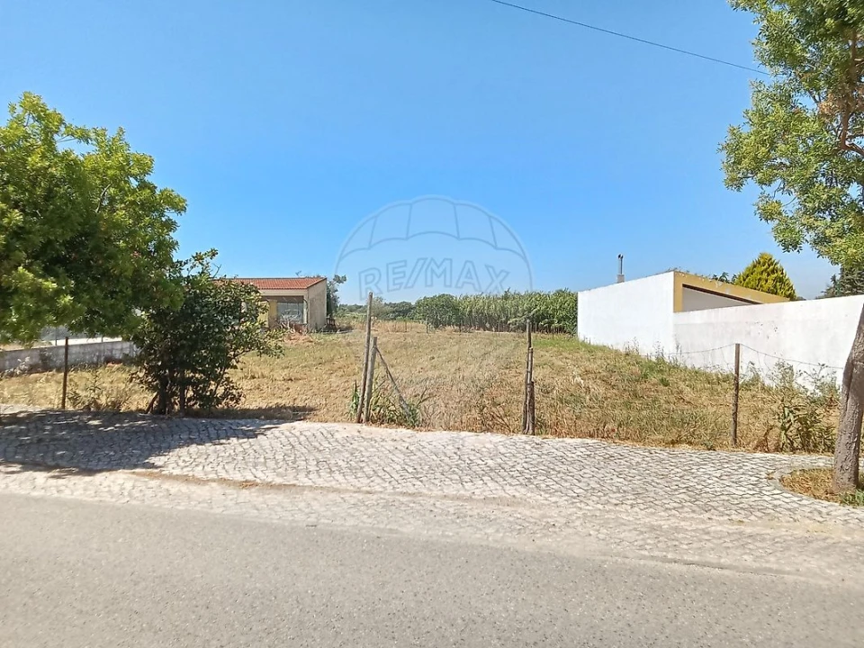 Terreno para Venda em Manique do Intendente, Vila Nova de São Pedro e Maçussa Foto 6