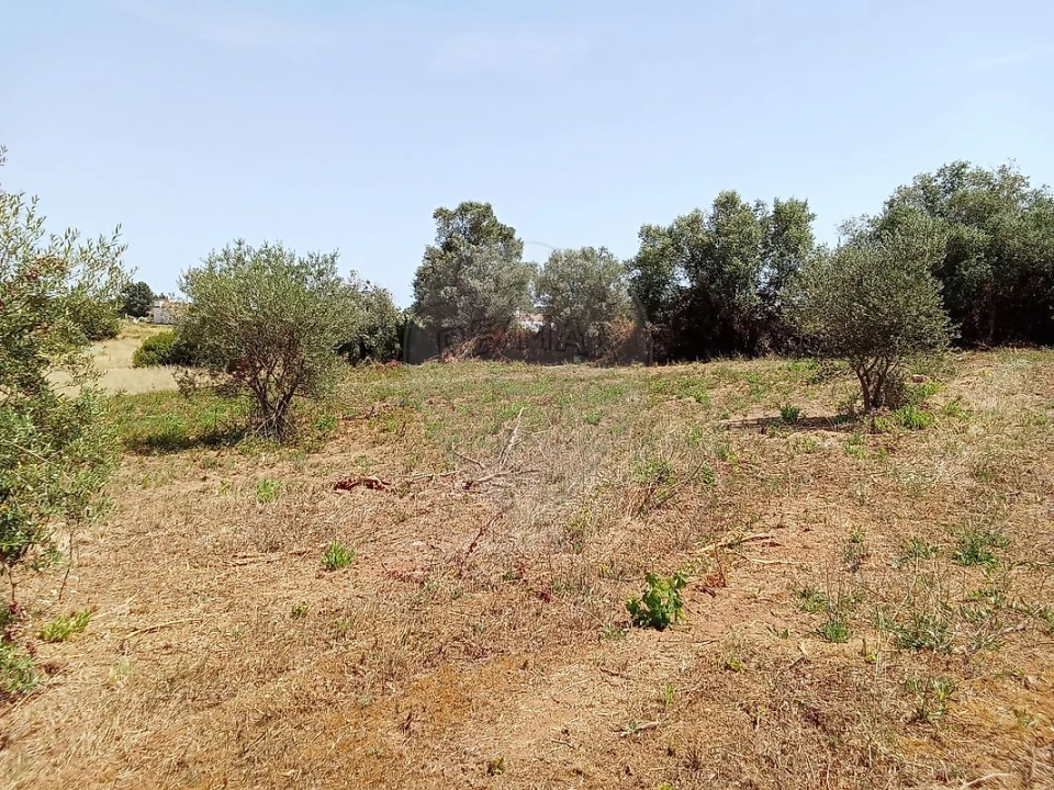 Terreno para Venda em Manique do Intendente, Vila Nova de São Pedro e Maçussa Foto 4
