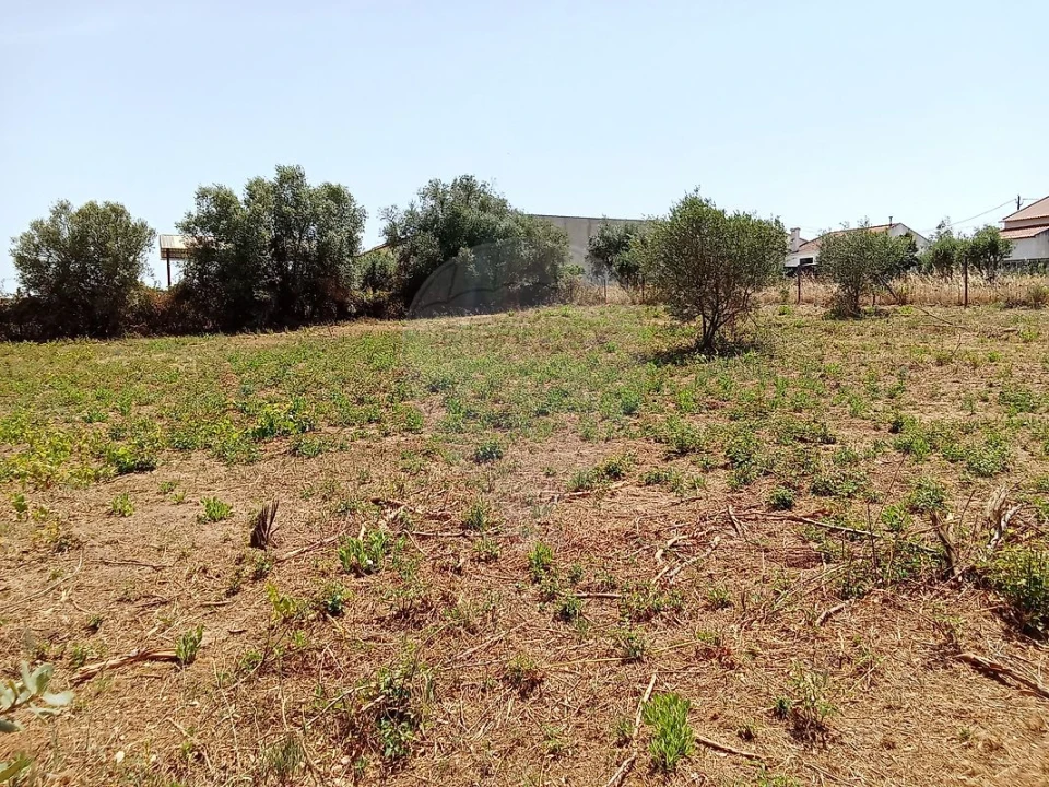 Terreno para Venda em Manique do Intendente, Vila Nova de São Pedro e Maçussa Foto 15