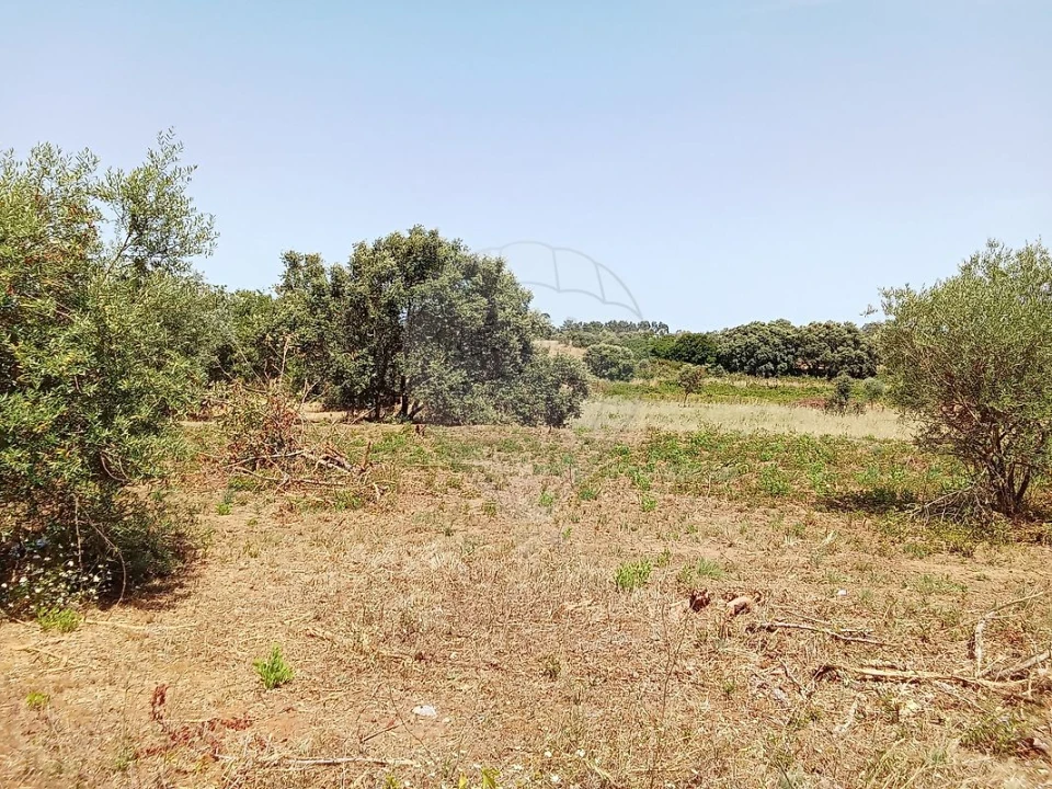 Terreno para Venda em Manique do Intendente, Vila Nova de São Pedro e Maçussa Foto 2