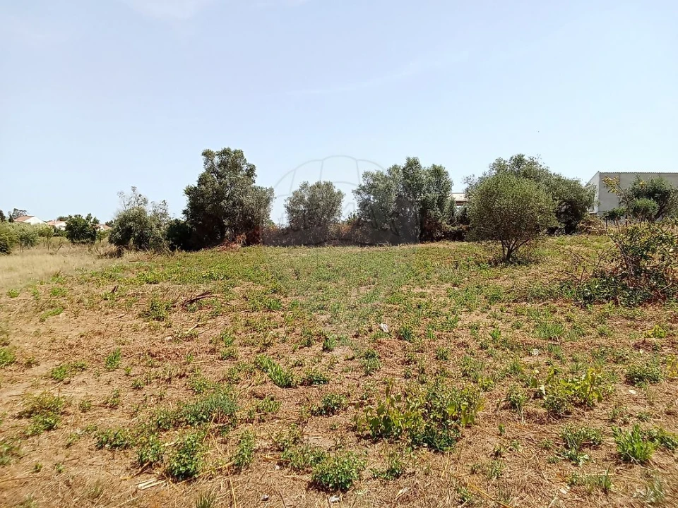 Terreno para Venda em Manique do Intendente, Vila Nova de São Pedro e Maçussa Foto 17