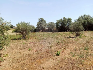 Terreno para Venda em Manique do Intendente, Vila Nova de São Pedro e Maçussa