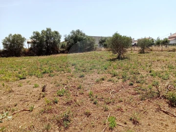 Terreno para Venda em Manique do Intendente, Vila Nova de São Pedro e Maçussa