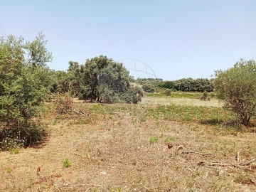 Terreno para Venda em Manique do Intendente, Vila Nova de São Pedro e Maçussa