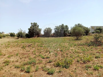 Terreno para Venda em Manique do Intendente, Vila Nova de São Pedro e Maçussa