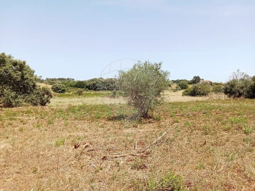 Terreno para Venda em Manique do Intendente, Vila Nova de São Pedro e Maçussa