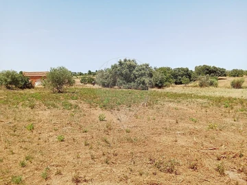 Terreno para Venda em Manique do Intendente, Vila Nova de São Pedro e Maçussa