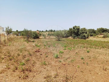 Terreno para Venda em Manique do Intendente, Vila Nova de São Pedro e Maçussa