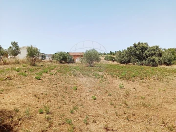 Terreno para Venda em Manique do Intendente, Vila Nova de São Pedro e Maçussa
