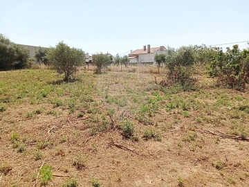 Terreno para Venda em Manique do Intendente, Vila Nova de São Pedro e Maçussa