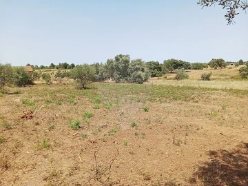 Terreno para Venda em Manique do Intendente, Vila Nova de São Pedro e Maçussa