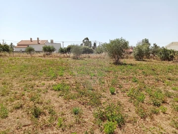 Terreno para Venda em Manique do Intendente, Vila Nova de São Pedro e Maçussa