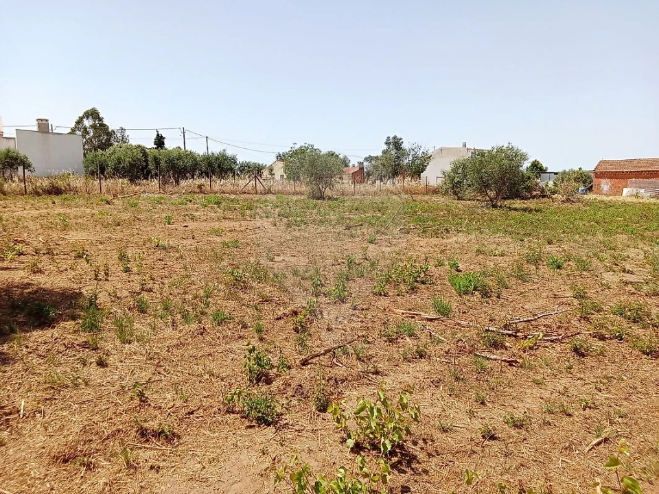 Terreno para Venda em Manique do Intendente, Vila Nova de São Pedro e Maçussa Foto 11