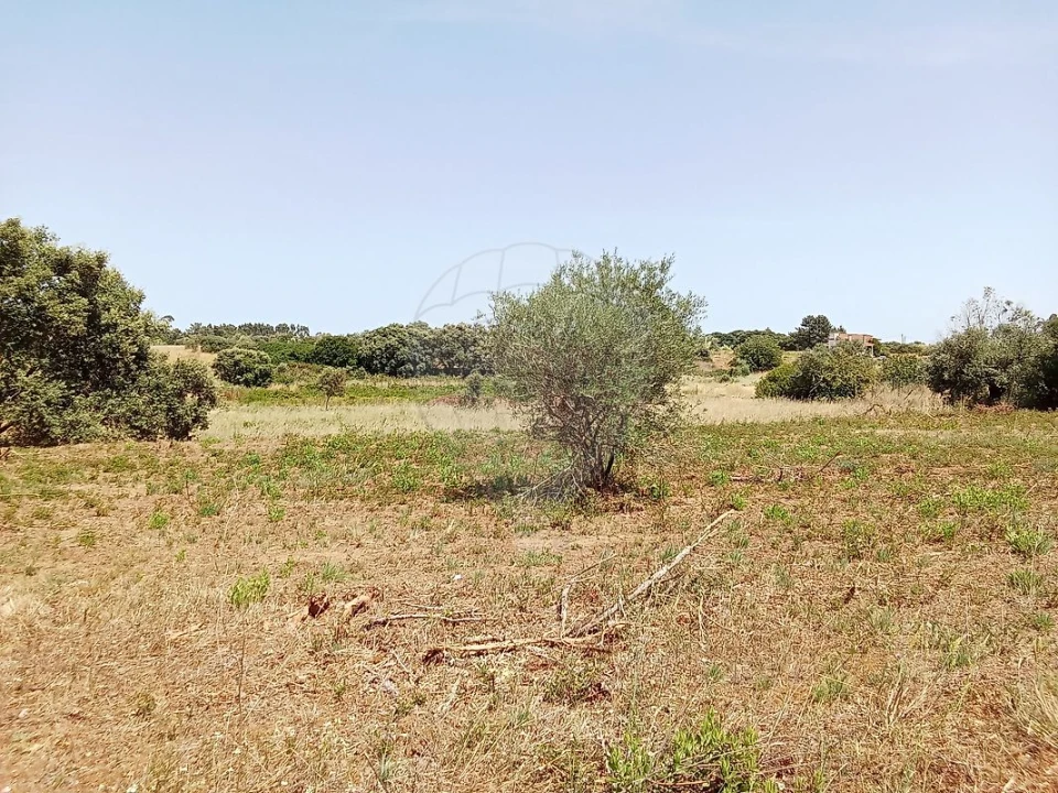 Terreno para Venda em Manique do Intendente, Vila Nova de São Pedro e Maçussa Foto 1