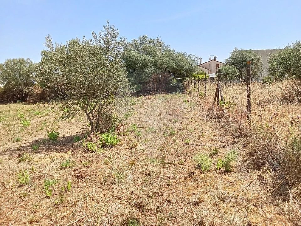 Terreno para Venda em Manique do Intendente, Vila Nova de São Pedro e Maçussa Foto 5