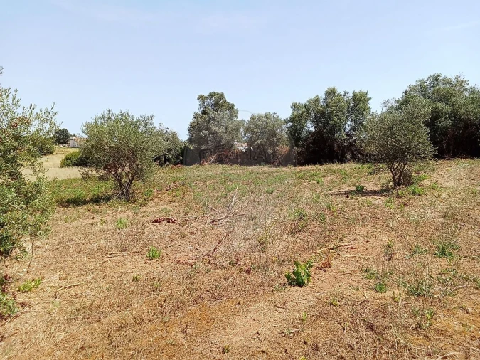 Terreno para Venda em Manique do Intendente, Vila Nova de São Pedro e Maçussa Foto 4