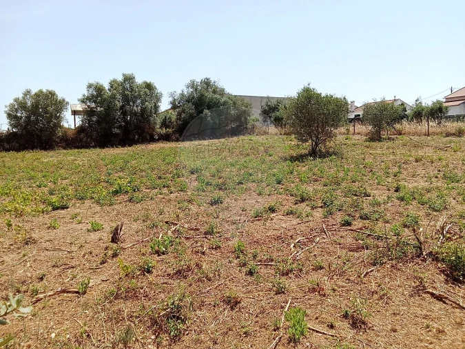 Terreno para Venda em Manique do Intendente, Vila Nova de São Pedro e Maçussa Foto 15