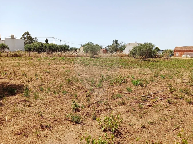 Terreno para Venda em Manique do Intendente, Vila Nova de São Pedro e Maçussa Foto 11