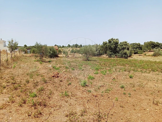 Terreno para Venda em Manique do Intendente, Vila Nova de São Pedro e Maçussa Foto 8