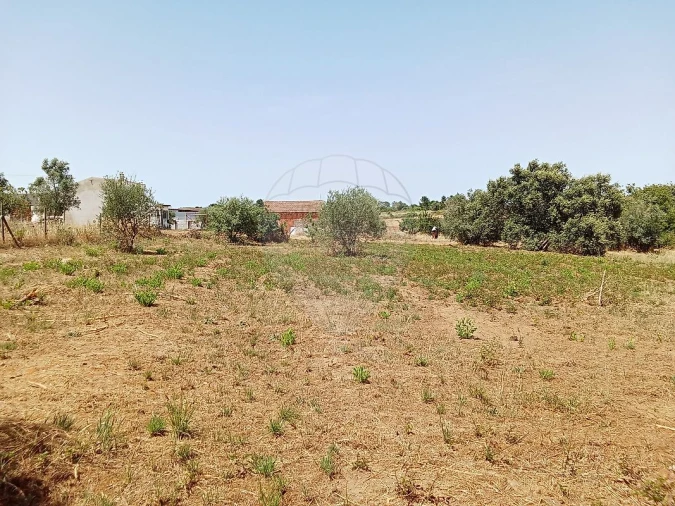 Terreno para Venda em Manique do Intendente, Vila Nova de São Pedro e Maçussa Foto 7