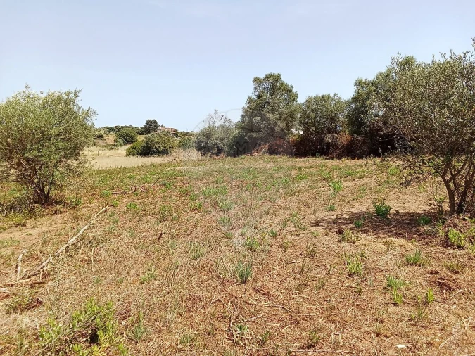 Terreno para Venda em Manique do Intendente, Vila Nova de São Pedro e Maçussa Foto 3