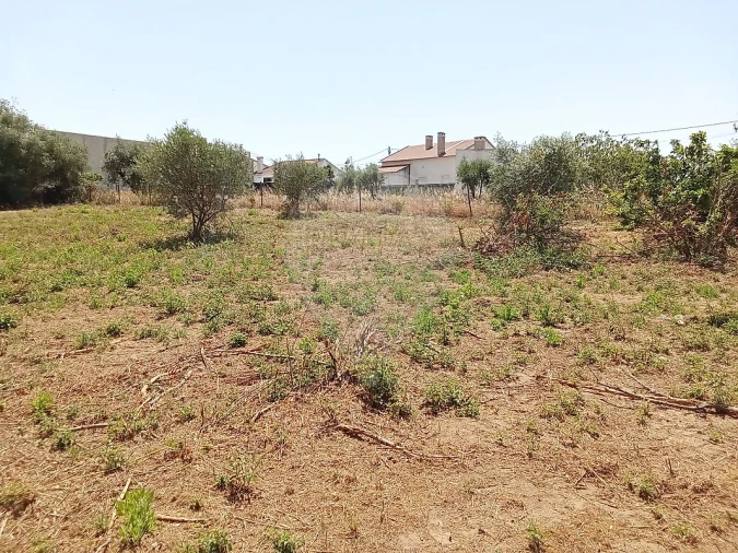 Terreno para Venda em Manique do Intendente, Vila Nova de São Pedro e Maçussa Foto 14