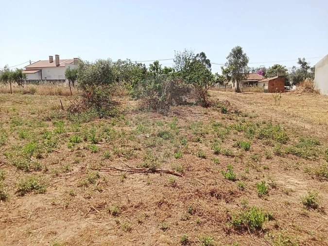 Terreno para Venda em Manique do Intendente, Vila Nova de São Pedro e Maçussa Foto 16