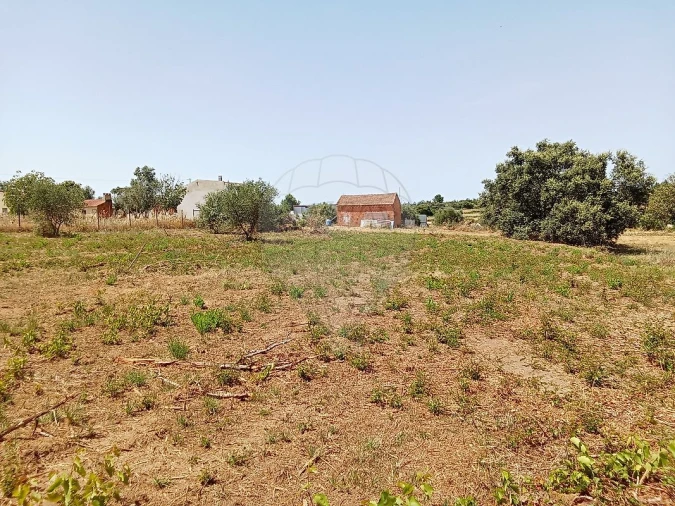 Terreno para Venda em Manique do Intendente, Vila Nova de São Pedro e Maçussa Foto 10