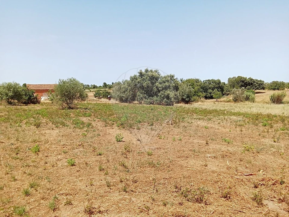 Terreno para Venda em Manique do Intendente, Vila Nova de São Pedro e Maçussa Foto 9