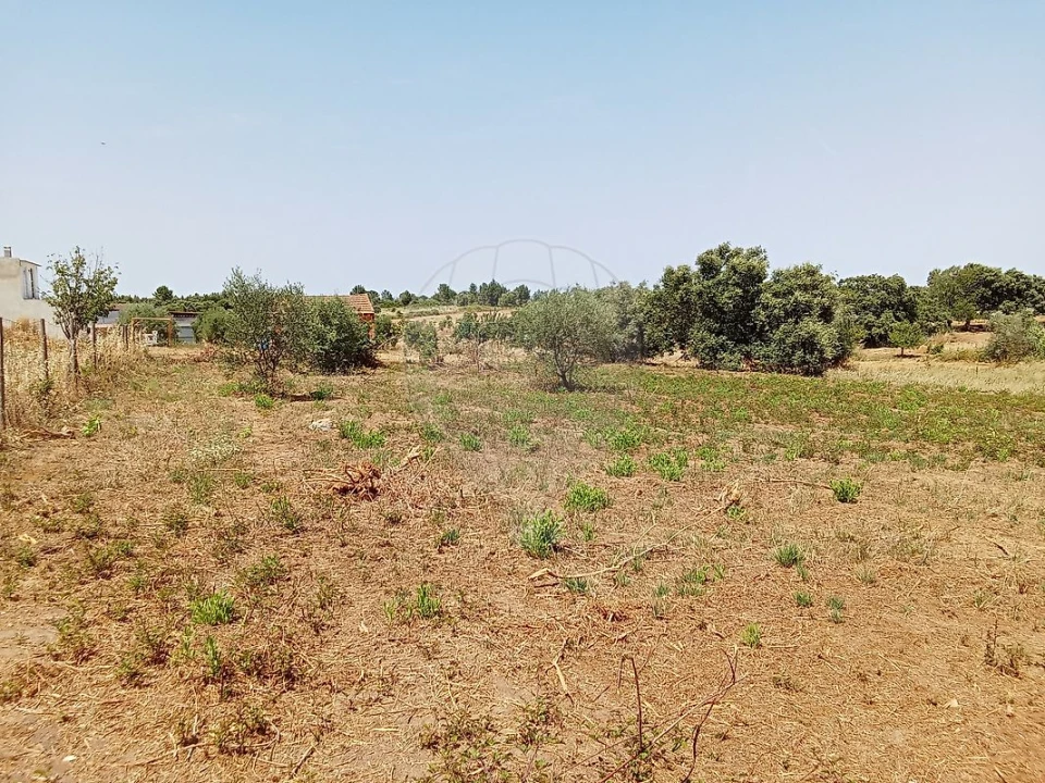 Terreno para Venda em Manique do Intendente, Vila Nova de São Pedro e Maçussa Foto 8