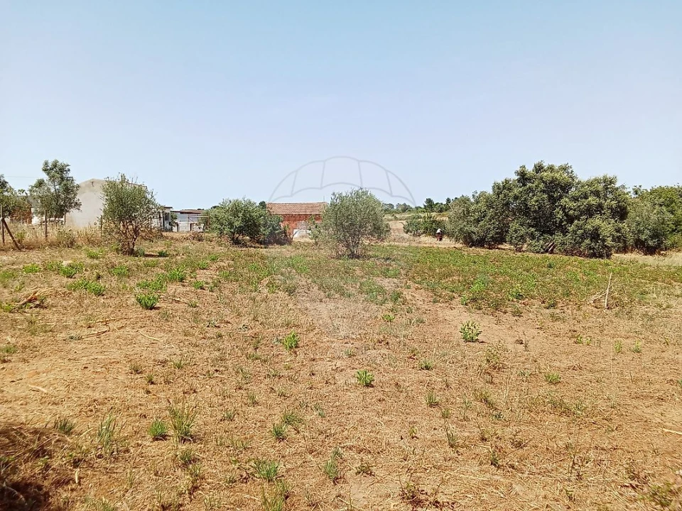 Terreno para Venda em Manique do Intendente, Vila Nova de São Pedro e Maçussa Foto 7
