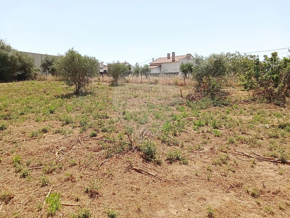 Terreno para Venda em Manique do Intendente, Vila Nova de São Pedro e Maçussa Foto 14