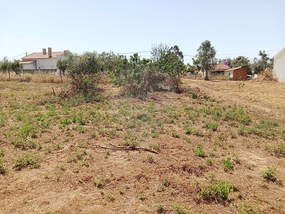 Terreno para Venda em Manique do Intendente, Vila Nova de São Pedro e Maçussa Foto 16