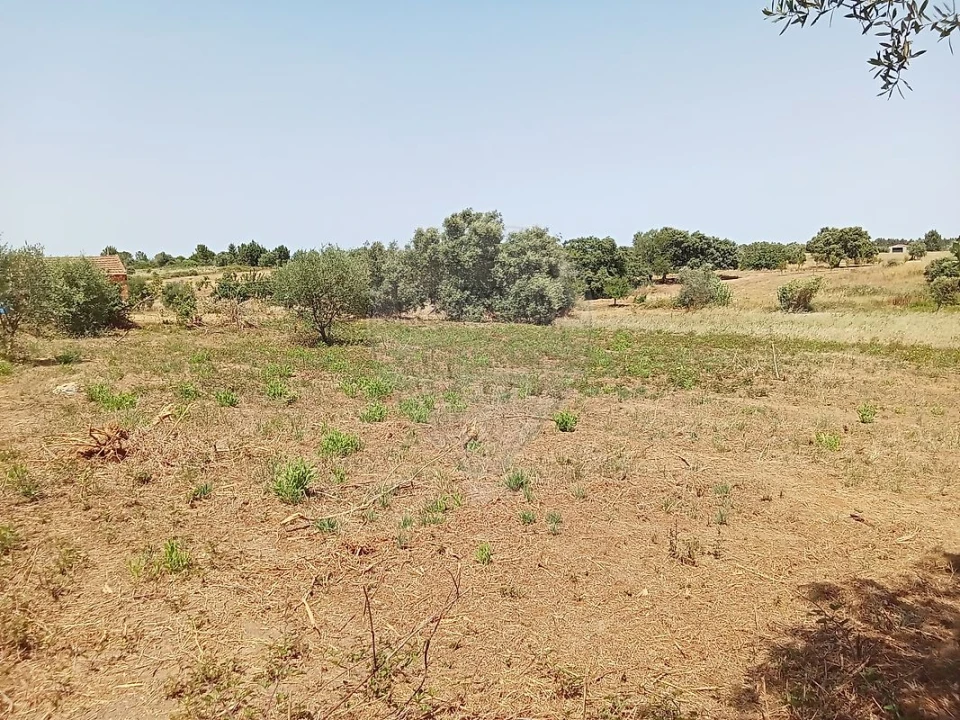 Terreno para Venda em Manique do Intendente, Vila Nova de São Pedro e Maçussa Foto 6