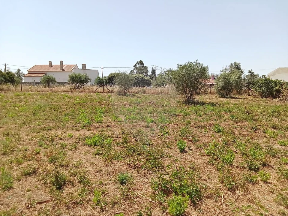 Terreno para Venda em Manique do Intendente, Vila Nova de São Pedro e Maçussa Foto 12