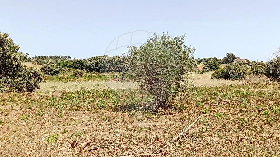 Terreno para Venda em Manique do Intendente, Vila Nova de São Pedro e Maçussa