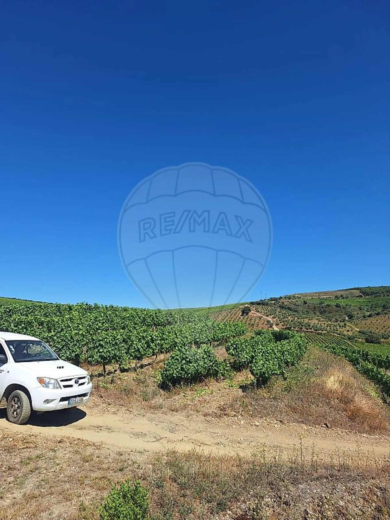 Quinta T
           para Venda em São João da Pesqueira e Várzea de Trevões Foto 8