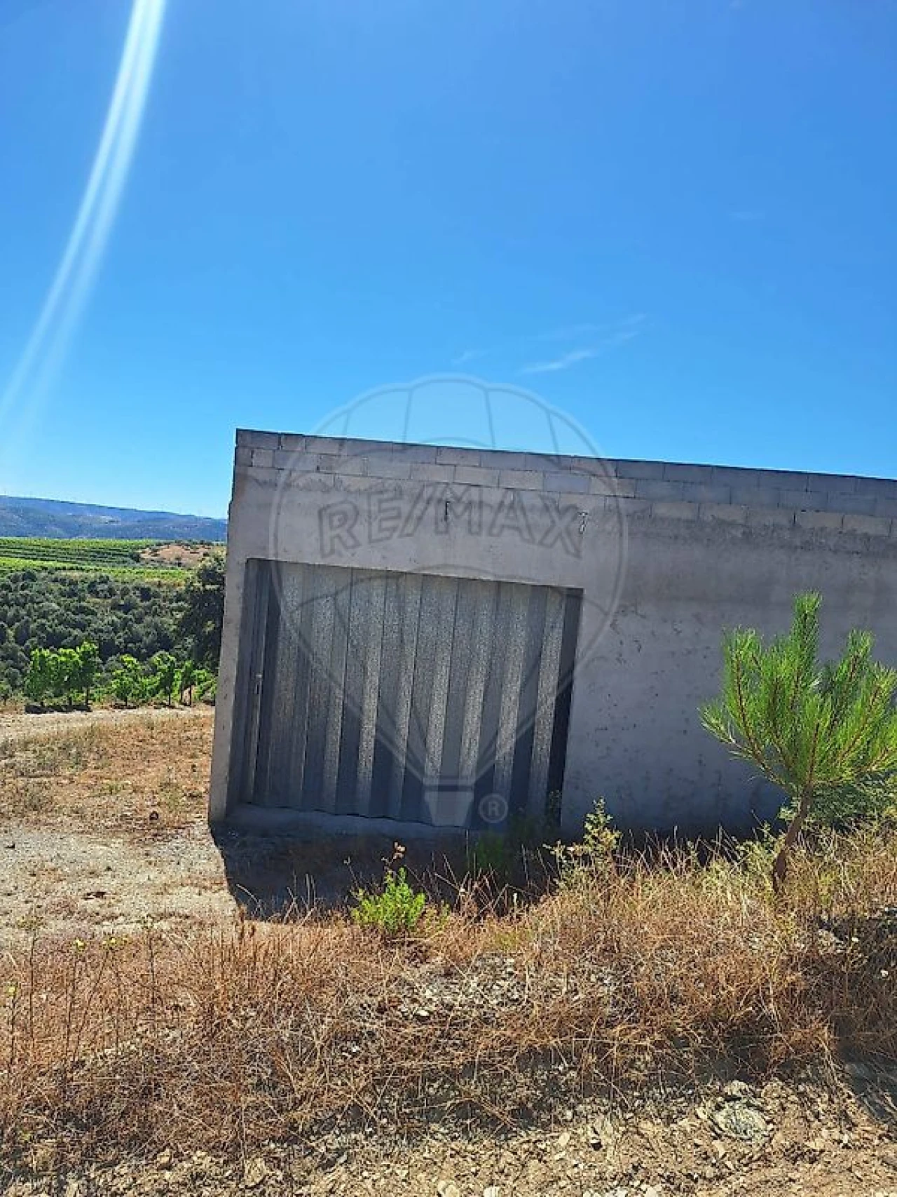 Quinta T
           para Venda em São João da Pesqueira e Várzea de Trevões Foto 11