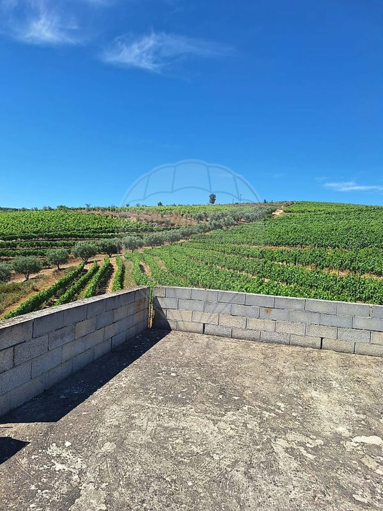 Quinta T
           para Venda em São João da Pesqueira e Várzea de Trevões Foto 12