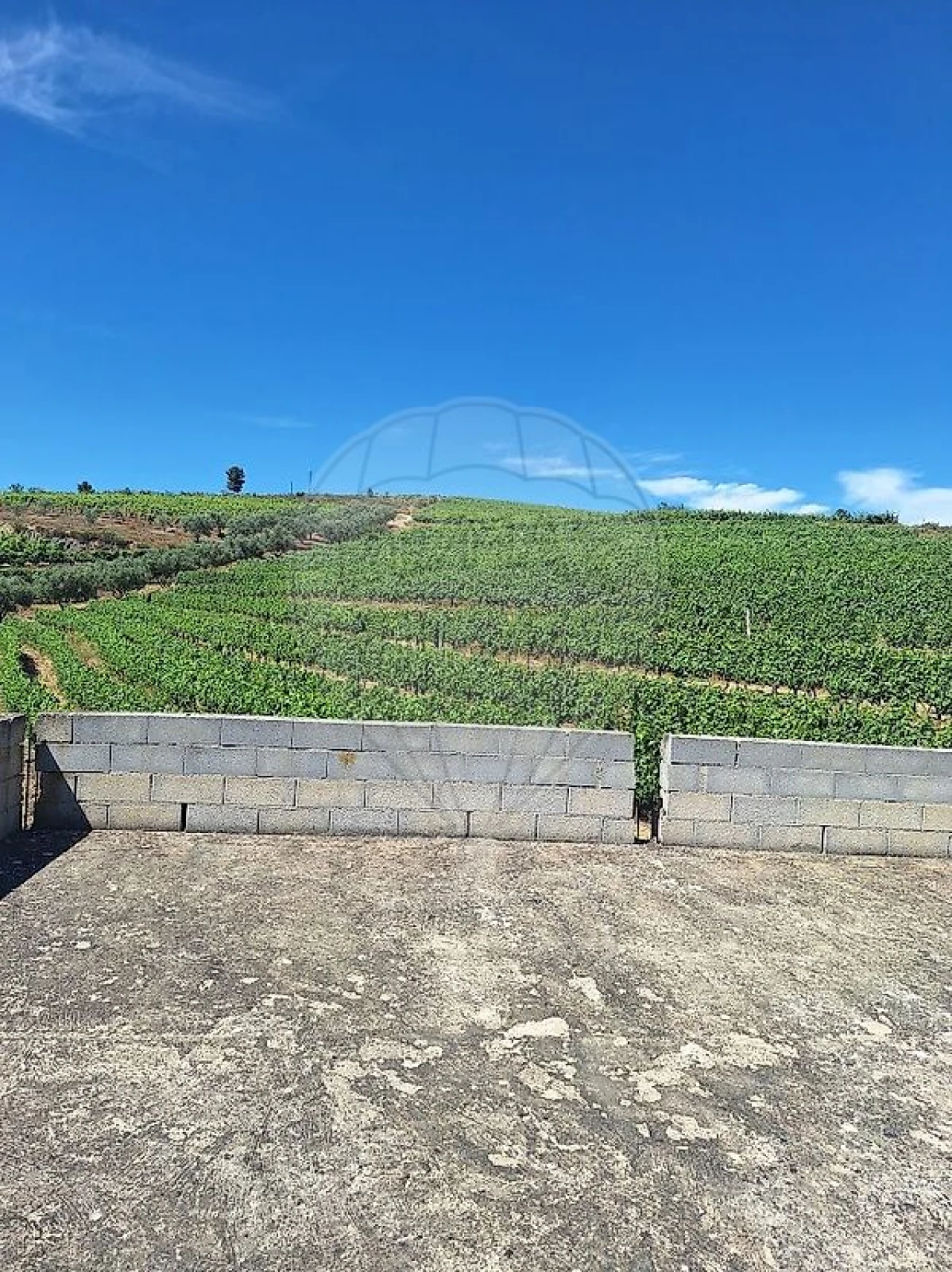 Quinta T
           para Venda em São João da Pesqueira e Várzea de Trevões Foto 15
