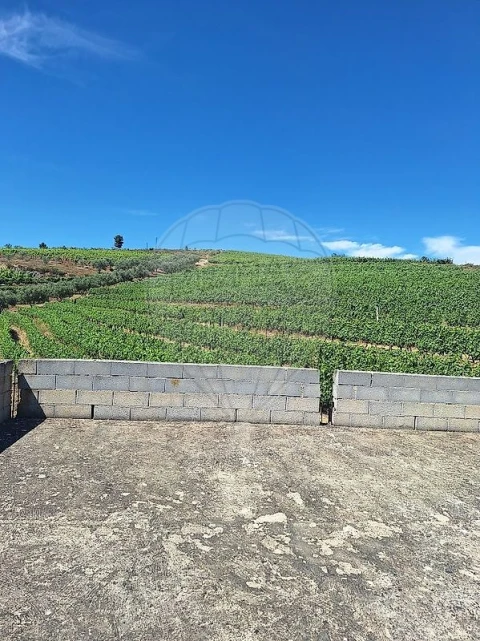 Quinta T
           para Venda em São João da Pesqueira e Várzea de Trevões
